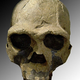 Image for article titled Close Calls: Three Times When Humanity Barely Escaped Extinction